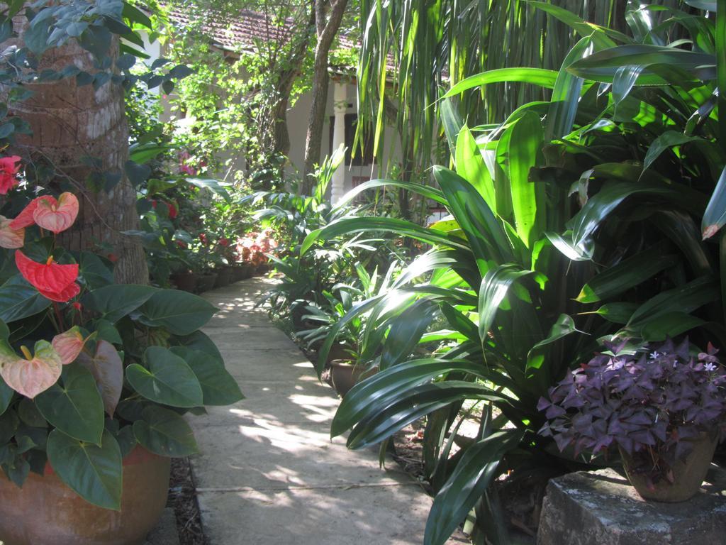 Peacock Land Hotel Tangalle Bagian luar foto