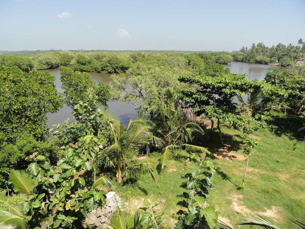 Peacock Land Hotel Tangalle Bagian luar foto