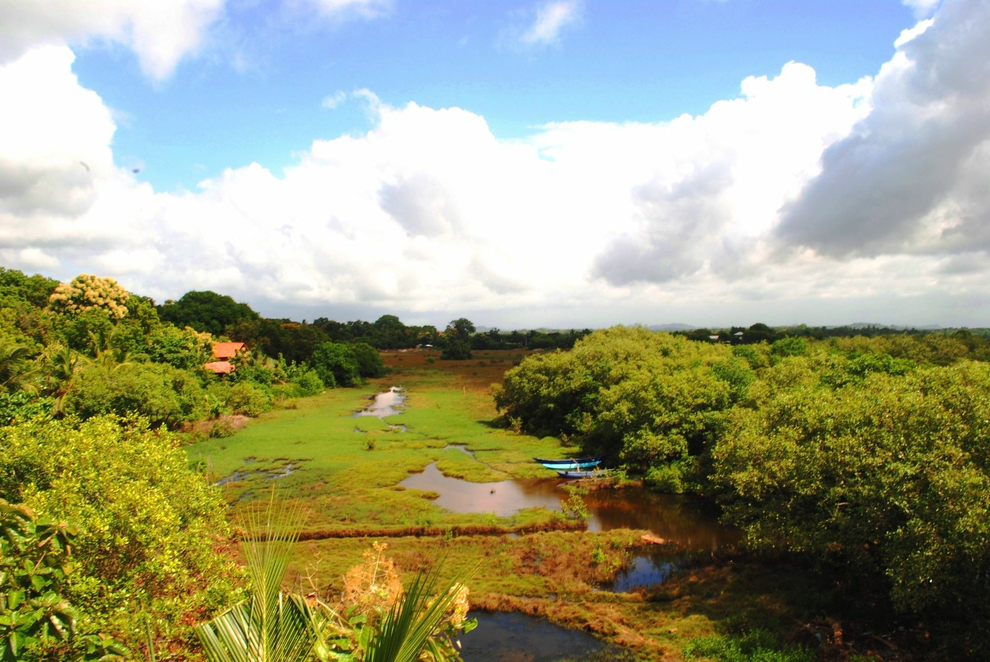 Peacock Land Hotel Tangalle Bagian luar foto